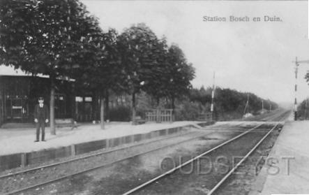 StationB-D-1919-001.jpg - Het Station Bosch en Duin lag aan de Duinweg, vlakbij de Utrechtse Gezondheidskolonie aan de Duinweg 35. Hier konden bleekneusjes uit de grote stad op krachten komen. Het gebouwtje links is afkomstig van het Rond in Zeist. Opname van 1919.